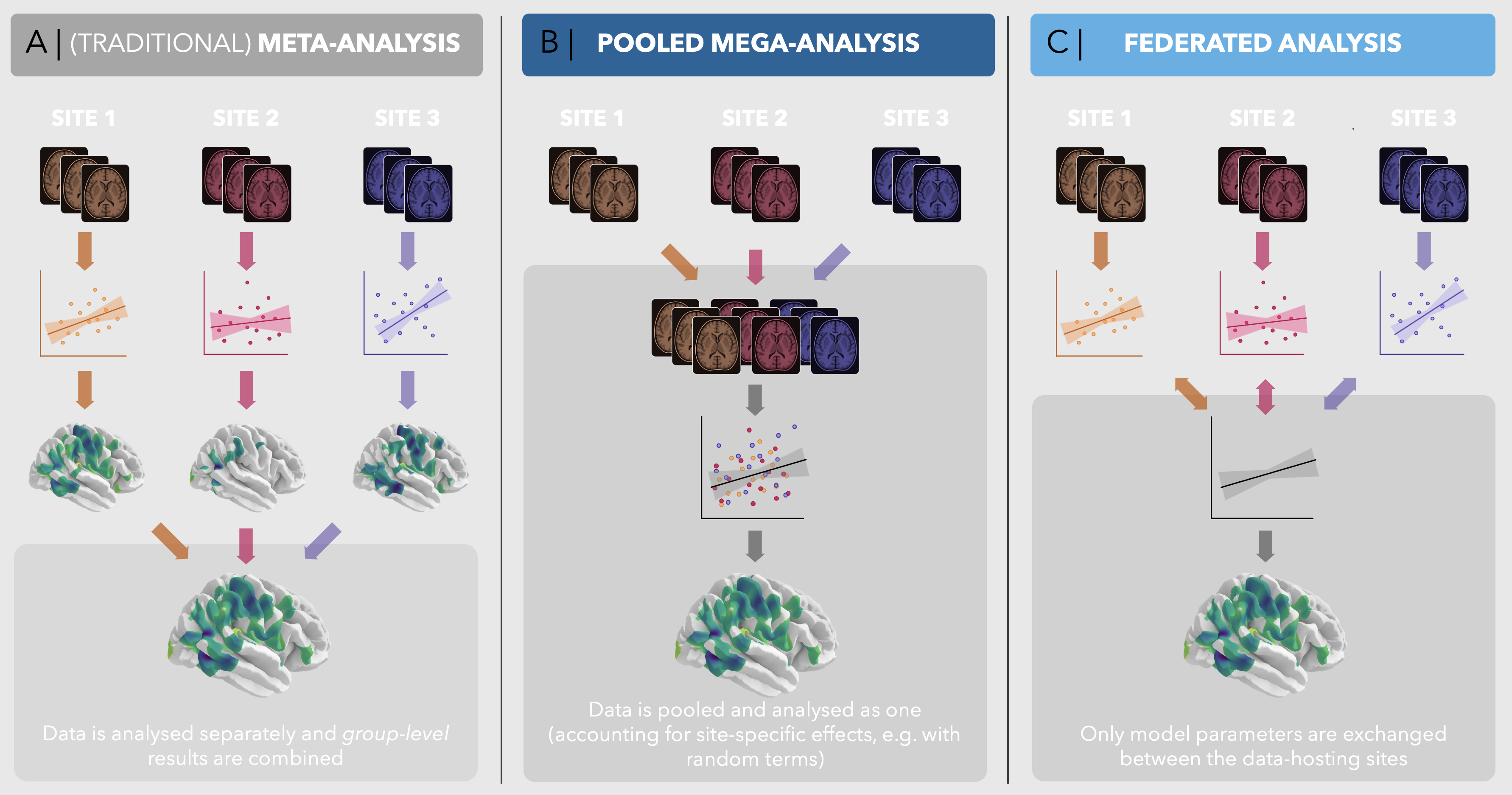 Example of a verywise analysis types.